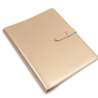 Champagne Gold A4 Leather Binder